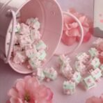 Kasuga Sakura Switch - Image 2